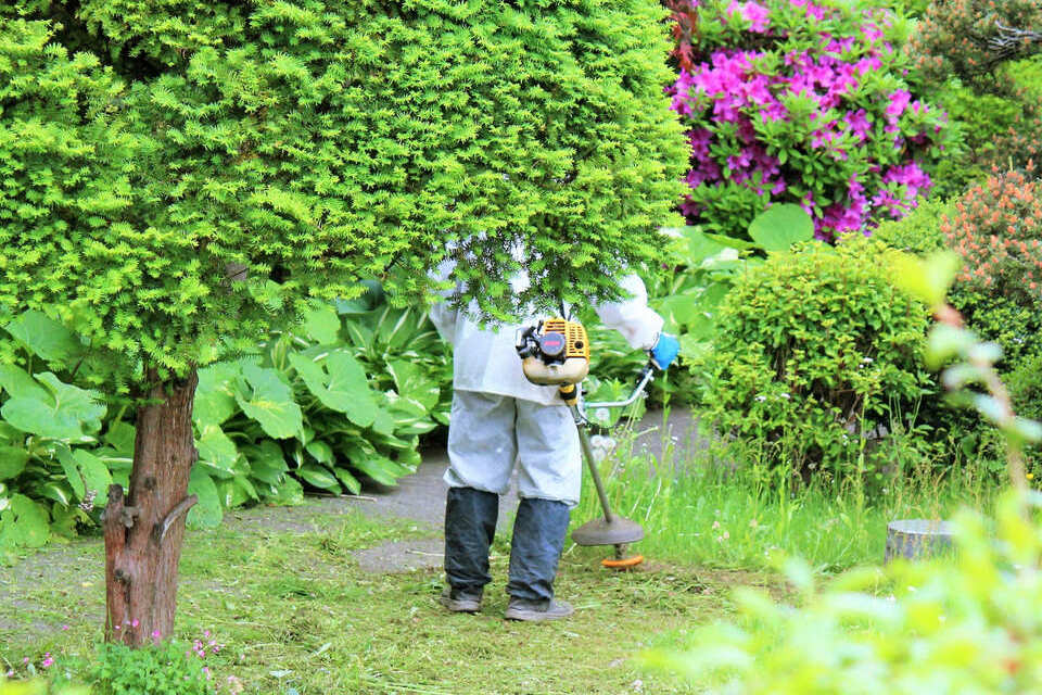 敷地全体をまるごと除草