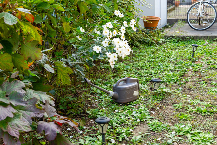 害虫・火災リスクの軽減