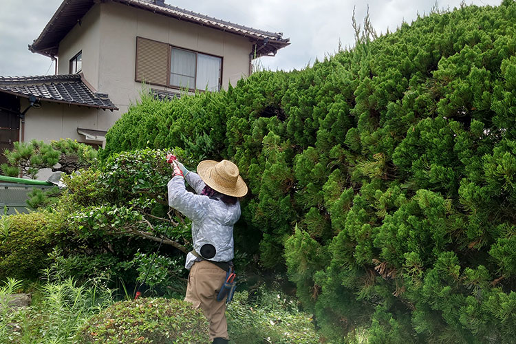 雑草対策と防犯整備
