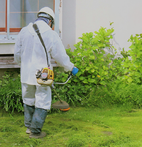 お家の全面草刈り